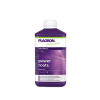 Power Roots 1L - Plagron