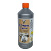Power Zyme 1L - Hesi