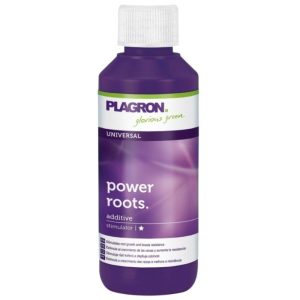 Power Roots 100 ml - Plagron