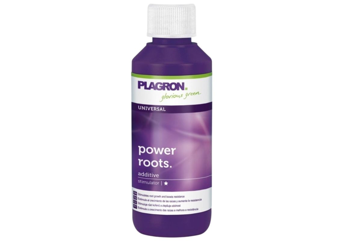 Power Roots 100 ml - Plagron